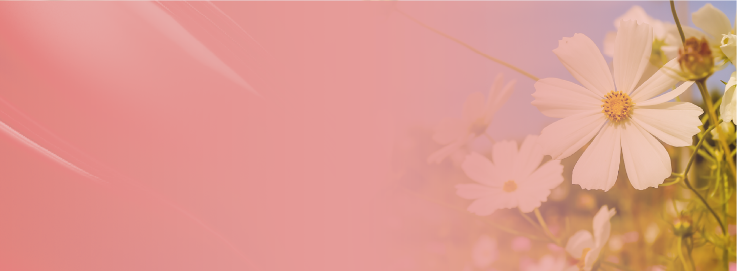 Hokkairon-Black Friday